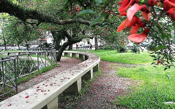Banco da Praça Coronel Pedro Osório em Pelotas