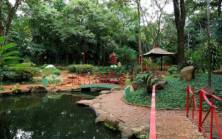 Jardim Japonês Jardim Japonês