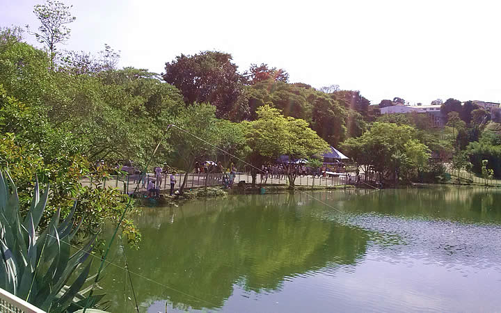 Lago central do Parque do Centenário em Varginha Lago central do Parque do Centenário em Varginha