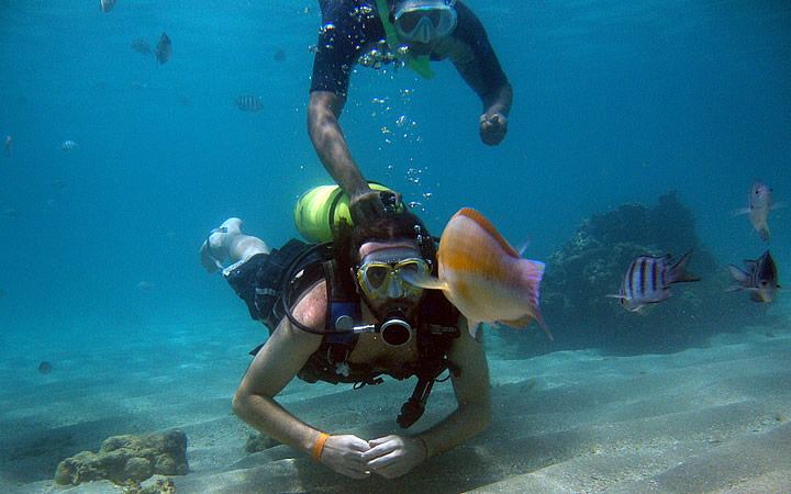 Mergulho com cilindro ou com Snorkel Mergulho com cilindro ou com Snorkel