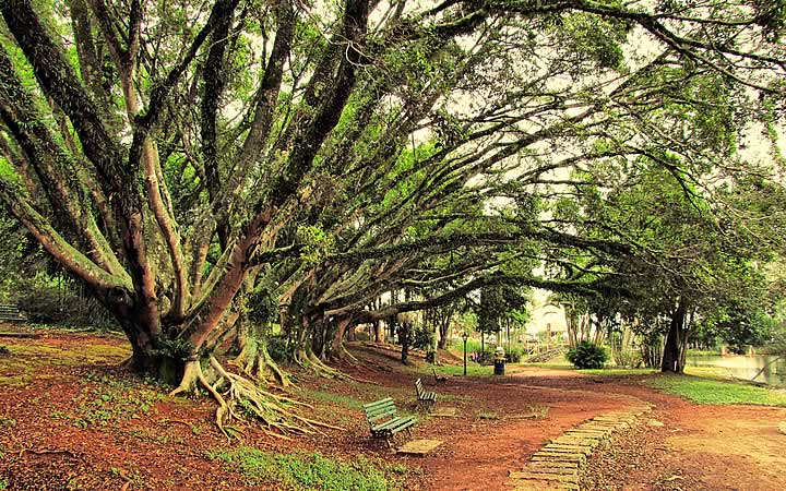 Parque Municipal Edmundo Zanoni Parque Municipal Edmundo Zanoni