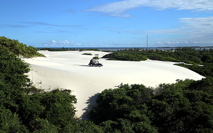 Praia de Mangue Seco - Passeio de Buggy