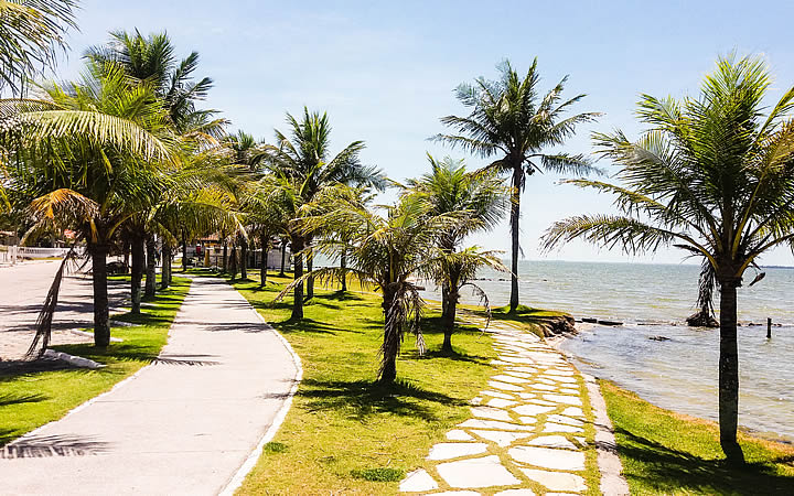 Coqueiros na Praia da Pontinha em Araruama Coqueiros na Praia da Pontinha em Araruama