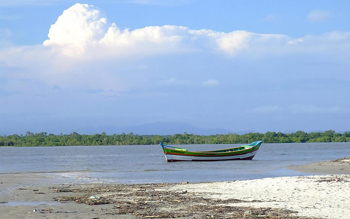 Ilha das Peças em Superagui Ilha das Peças em Superagui