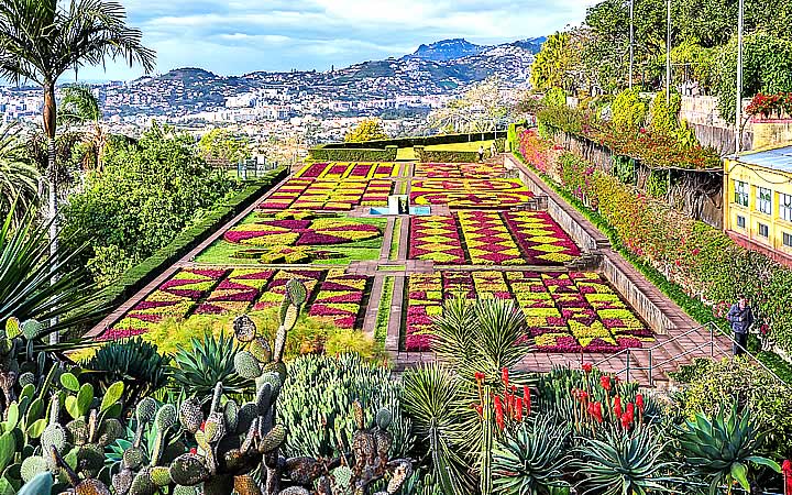 Jardim botânico da madeira