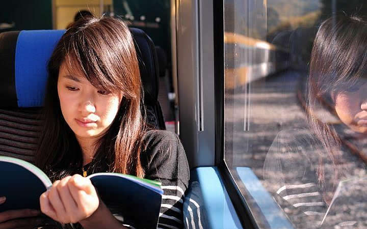 Mulher lendo durante a viagem Mulher lendo durante a viagem