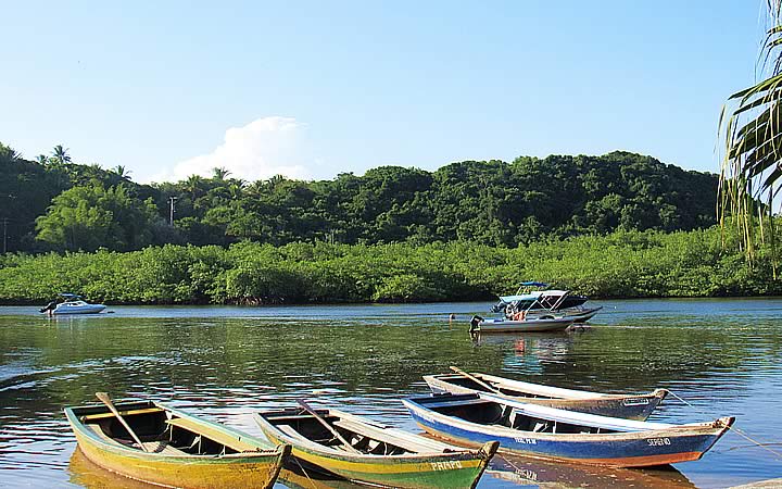 Descida pelo Rio Caraíva - Barcos parados Descida pelo Rio Caraíva - Barcos parados
