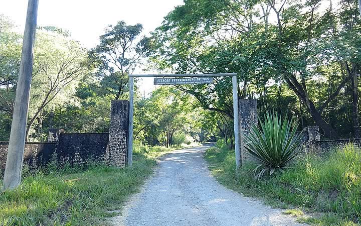 Entrada do Horto Florestal de Tupi Entrada do Horto Florestal de Tupi
