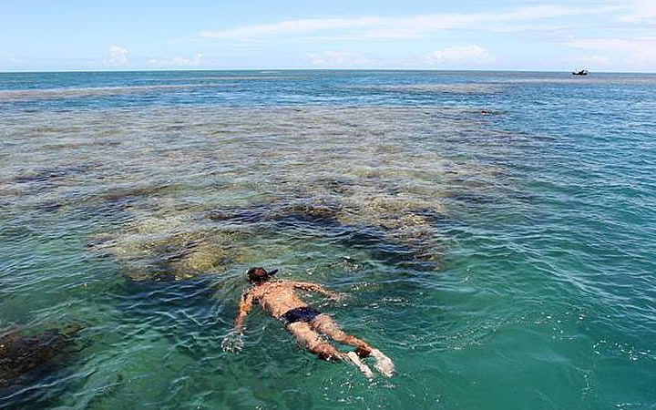Homem fazendo mergulho de snorkeling em Corumbau Homem fazendo mergulho de snorkeling em Corumbau