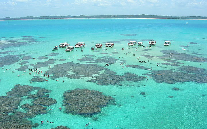 Piscina natural em Maragogi – Alagoas Piscina natural em Maragogi – Alagoas