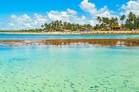 Piscina natural em Porto de Galinhas