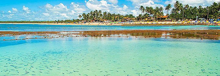 Piscina natural em Porto de Galinhas Piscina natural em Porto de Galinhas