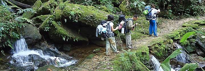 Três Pessoas fazendo a trilha do ouro Três Pessoas fazendo a trilha do ouro