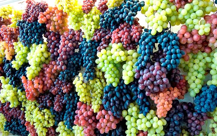 Uvas de diversos tipos