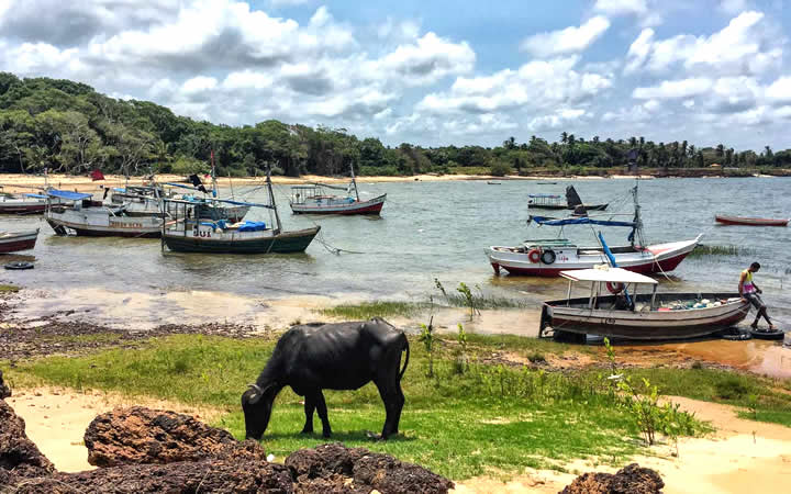 Barcos na orla da Ilha de Marajó Barcos na orla da Ilha de Marajó