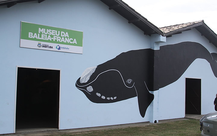 Museu da Baleia Museu da Baleia