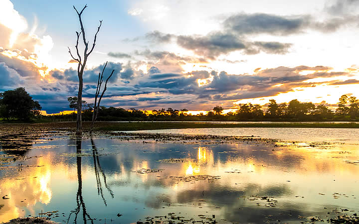 Paisagem no Pantanal em Mato Grosso Paisagem no Pantanal em Mato Grosso