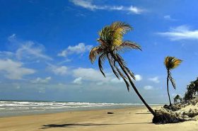 Praia de Mangue Seco