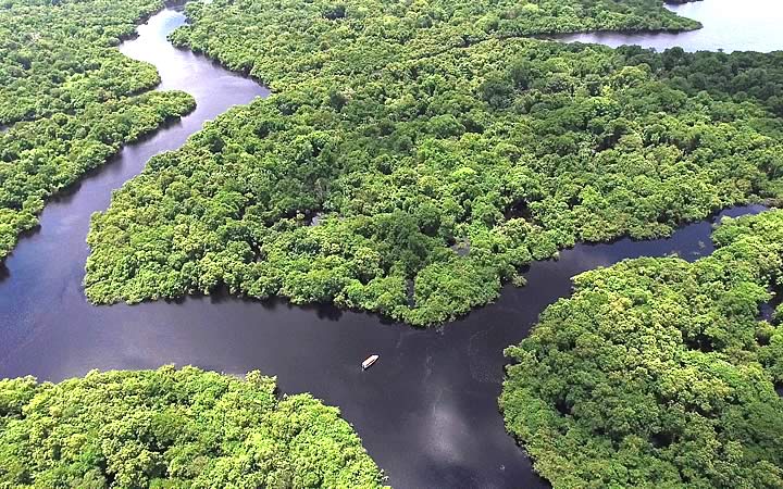 Região central da Floresta Amazônica Região central da Floresta Amazônica
