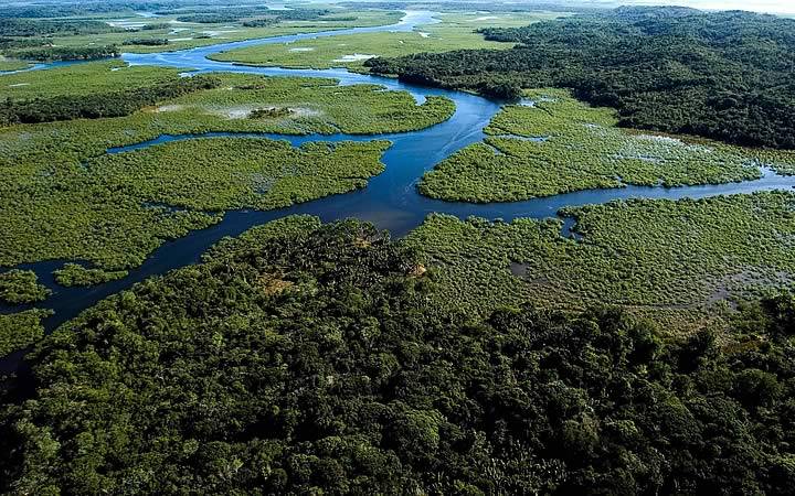 Reservas da Mata Atlântica do Sul e Sudeste Reservas da Mata Atlântica do Sul e Sudeste