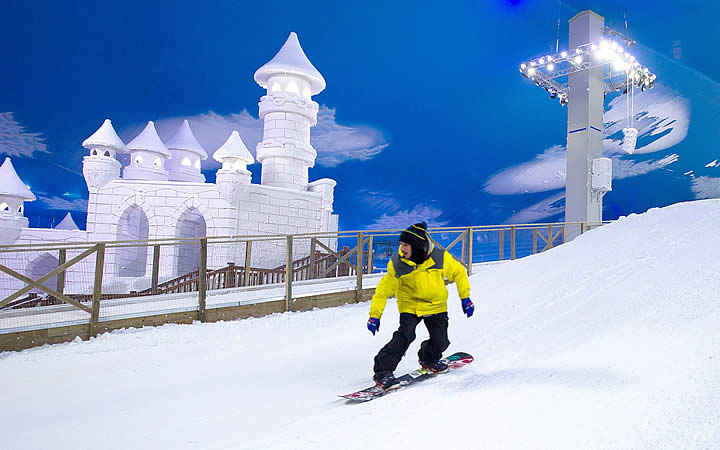 Simulador de Esqui Snowland Simulador de Esqui Snowland