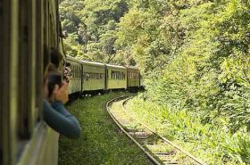 Como-é-feito-o-passeio-de-trem-na-Serra-do-Mar