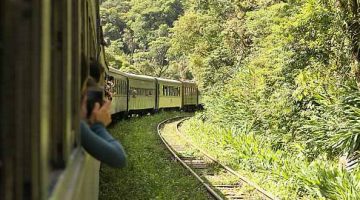 Como-é-feito-o-passeio-de-trem-na-Serra-do-Mar