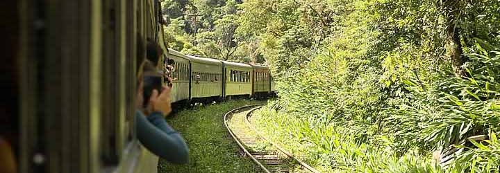 Como-é-feito-o-passeio-de-trem-na-Serra-do-Mar Como-é-feito-o-passeio-de-trem-na-Serra-do-Mar