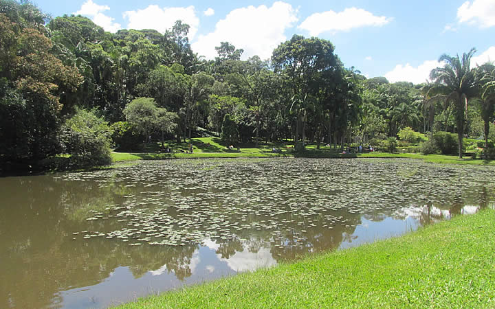 Lago da Linfeias Jardim Botânico Lago da Linfeias Jardim Botânico