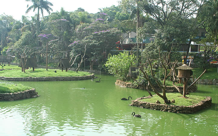 Lago do Zoológico próximo ao Jardim Botânico de São Paulo Lago do Zoológico próximo ao Jardim Botânico de São Paulo