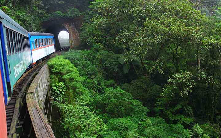 Passeio de Trem na Serra do Mar Passeio de Trem na Serra do Mar