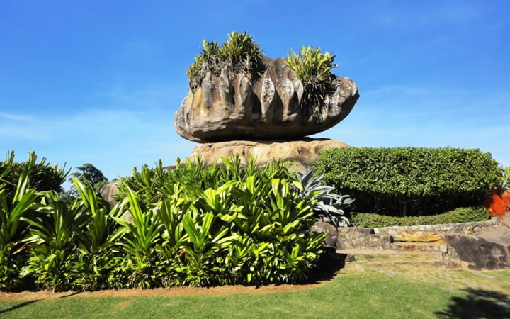 Plantação no Parque da Pedra da Cebola Plantação no Parque da Pedra da Cebola