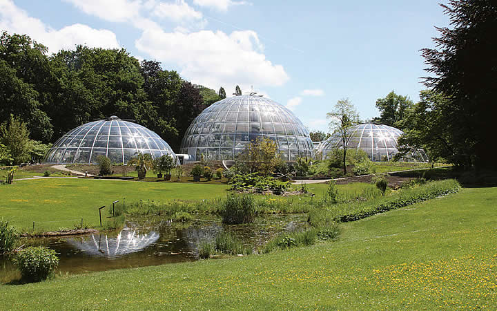 Jardim botânico da Universidade de Zurique