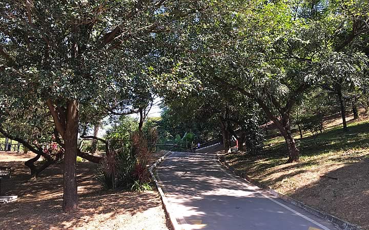 O Parque Ecológico Dionísio Alvarez Mateos O Parque Ecológico Dionísio Alvarez Mateos