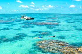 Parrachos de Maracajaú