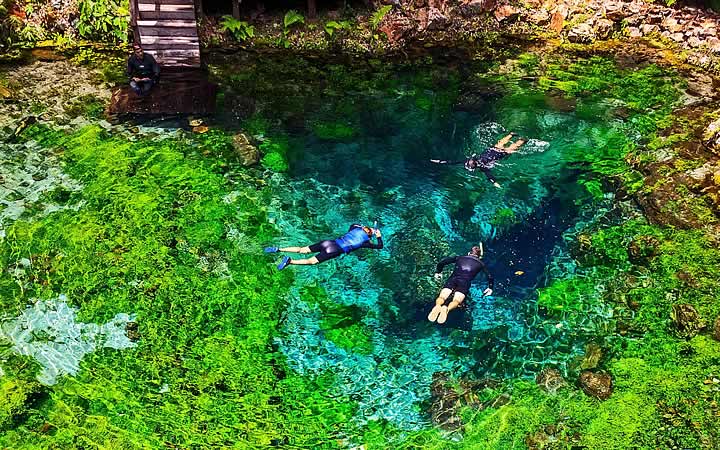 Pessoas nadando em lago em Bonito Pessoas nadando em lago em Bonito