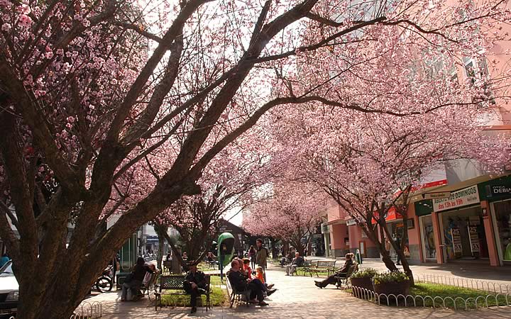Praça em Bento Gonçalves Praça em Bento Gonçalves