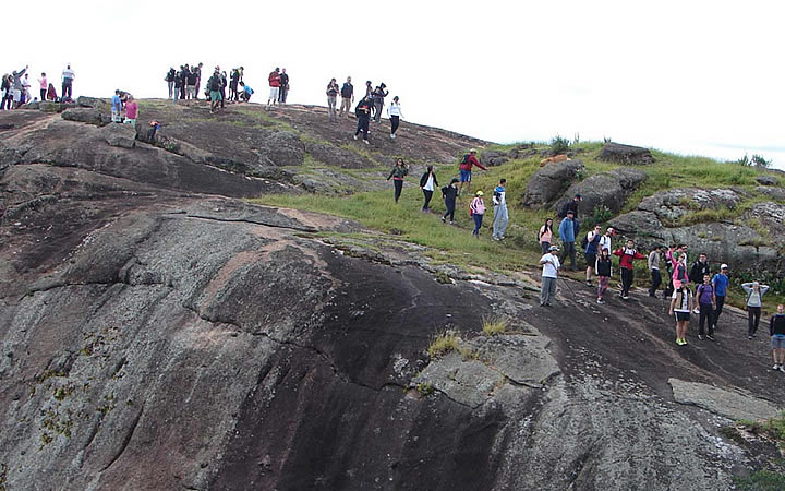 Trekking na Pedra do Elefante Trekking na Pedra do Elefante