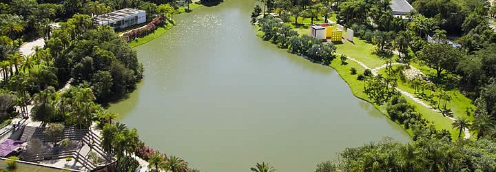 Brumadinho Brumadinho