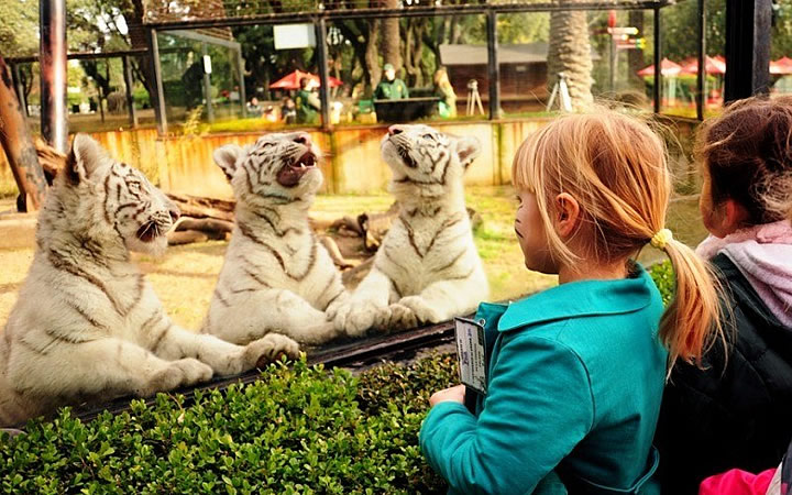 Crianças no Zoológico de Buenos Aires