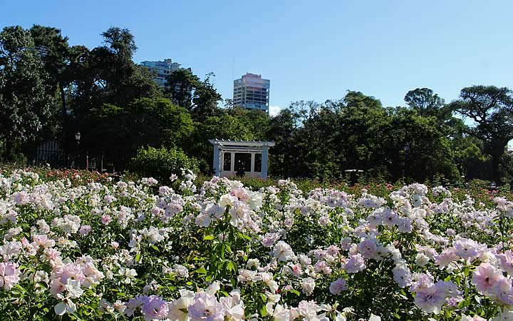 El Rosedal