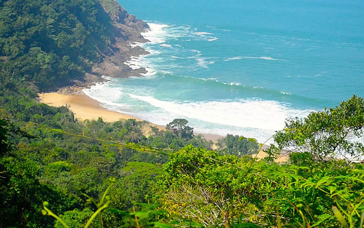 Praia Brava Praia Brava
