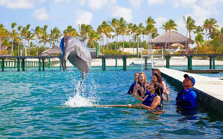 Golfinho pulando em Punta Cana Golfinho pulando em Punta Cana