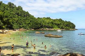 Ilha das Couves