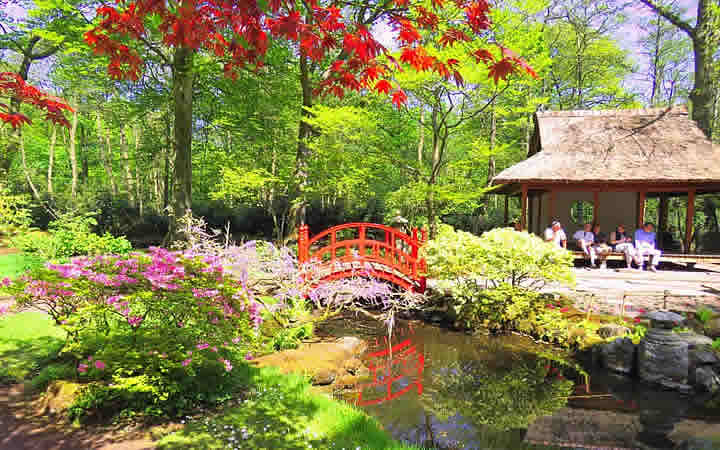 Jardim Japonês Jardim Japonês