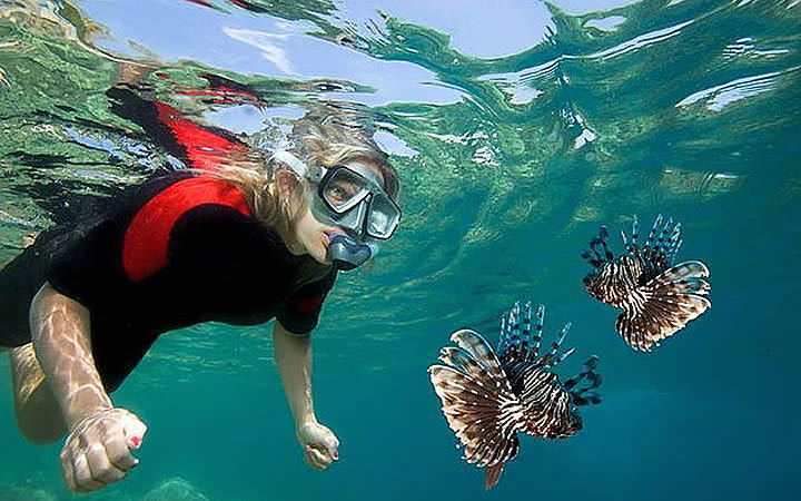 Mulher praticando Snorkel na Ilha das Couves Mulher praticando Snorkel na Ilha das Couves