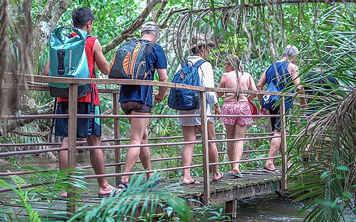 Pessoas fazendo trilha ecológica na mata em Bonito Pessoas fazendo trilha ecológica na mata em Bonito