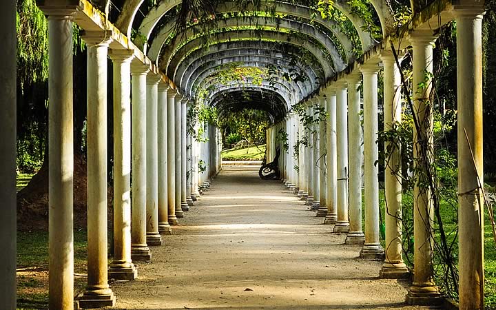 Túnel em formato de arco no Jardim Botânico Túnel em formato de arco no Jardim Botânico