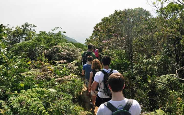 Grupo fazendo caminhada no Parque Nacional da Tijuca Grupo fazendo caminhada no Parque Nacional da Tijuca