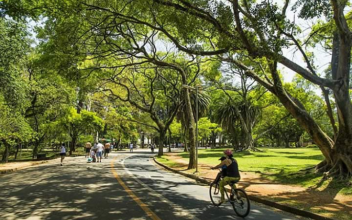 Parque Ibirapuera Parque Ibirapuera